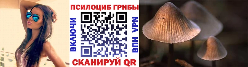 Псилоцибиновые грибы прущие грибы  Покров 